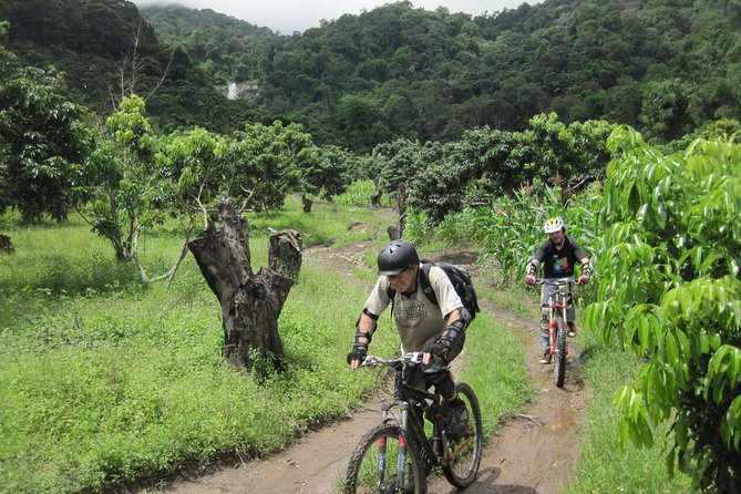 No.1 Chiang Mai: Advanced XC Downhill Biking, Doi Suthep N. Park - Highlanders Route: advanced XC downhill, not a stunt show