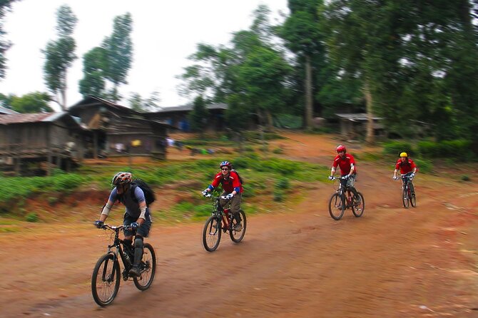 No.1 Chiang Mai: Epic Doi Suthep Downhill MTB Adventure - The climb into Doi Suthep National Park: where you gear up for the descent