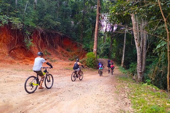 No.1 Chiang Mai: Epic Doi Suthep Downhill MTB Adventure - The main downhill to Lake Huay Tueng Thao: jungle, plantations, and short ups