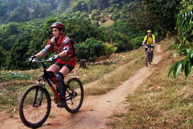 No.1 Chiang Mai: Epic Doi Suthep Downhill MTB Adventure - Price and value: what you pay for, plus the extra THB 250 fee
