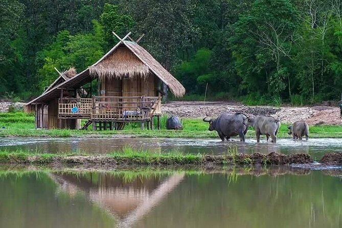 "No.1 Chiang Mai: Leisure Bicycle Ride to Lake Huay Tueng Tao" - What to bring (so the lake time actually feels good)