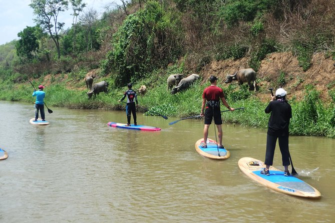 No.1 Chiang Mai: Stand Up Paddle Board through Mae Taeng Forest - Mae Ping River SUP near Chiang Mai: what this trip is really like