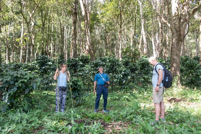 Off the Map Chiang Mai Jungle Coffee Trek Roast and Brew - V60 Brewing Workshop: Make It Taste Right