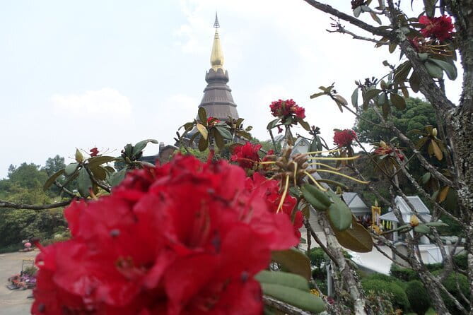 One day Doi Inthanon National Park & Trekking on Kew Mae Pan - The Hmong Hill Tribe Market and Lunch: Practical, Local, and Included