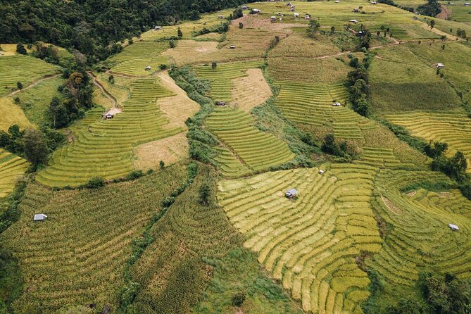 One day Doi Inthanon & Trekking at Pha Dok Siew - A 7:00 am schedule built for cool mountain air