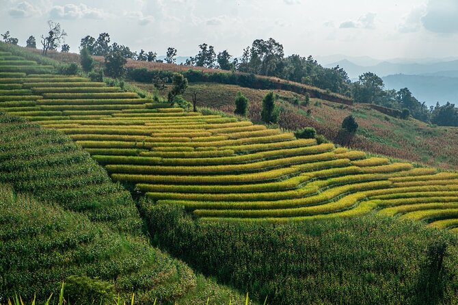 One day Doi Inthanon & Trekking at Pha Dok Siew - King and Queen Stupa: flower gardens and panoramic photo angles