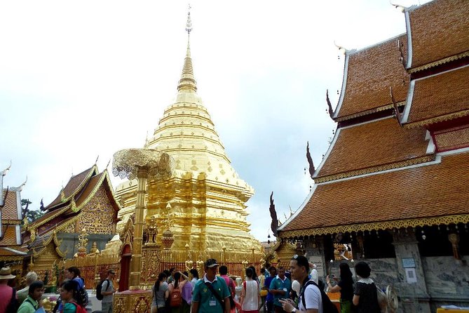 One Day Tour Doi Suthep Temple, Palad Temple, Orchid Farm, Longneck hill tribe village (Private tour) - Why this private day tour feels efficient in Chiang Mai