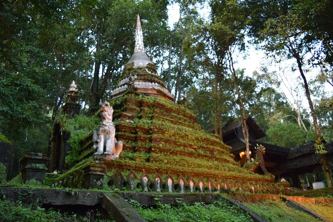 One Day Tour Doi Suthep Temple, Palad Temple, Orchid Farm, Longneck hill tribe village (Private tour) - Bai Orchid and Butterfly Farm: a short nature reset