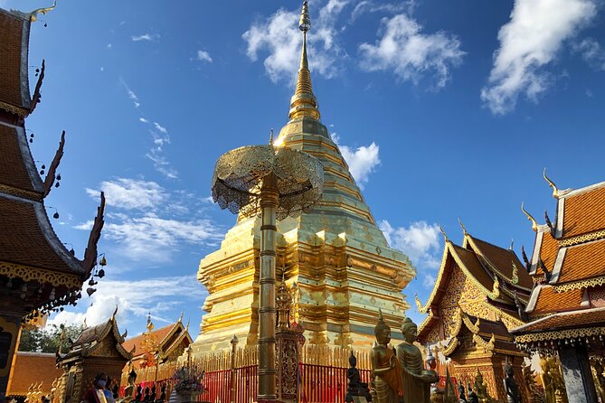 One Day Tour Doi Suthep Temple, Palad Temple, Orchid Farm, Longneck hill tribe village (Private tour) - Guide quality is the difference-maker here