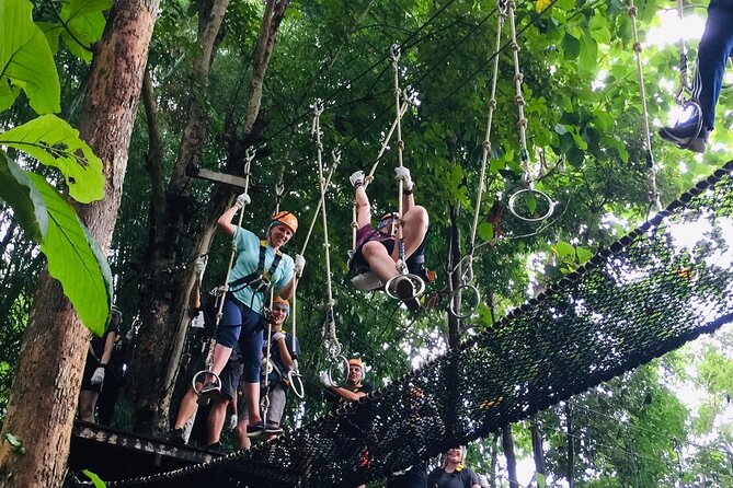 Phoenix Adventure Park Zipline, High Rope Course In Chiang Mai - Who Should Book (and Who Should Skip This One)
