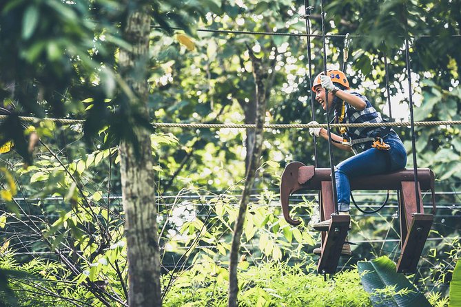 Phoenix Zipline Adventure Park – Chiang Mai Thrills - Your day, step by step: from meeting point to treetop start