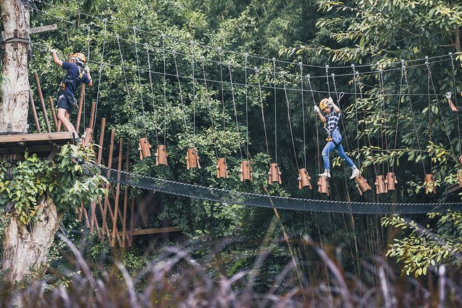 Phoenix Zipline Adventure Park – Chiang Mai Thrills - Courses and platforms: Zipline A vs Zipline B vs the high rope course