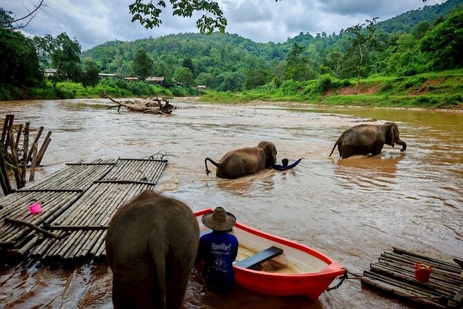 Private 3 Day Chiang Mai and Chiang Rai Tour - Day 2 north to Thaton, Doi Tung, Mae Sai, and the Golden Triangle