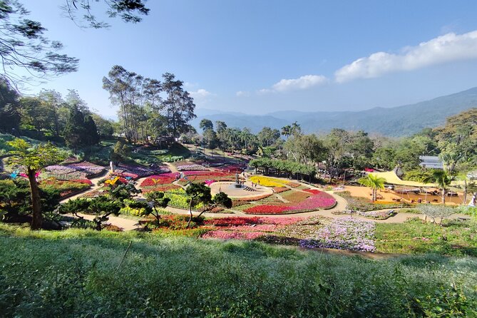 Private 3 Day Chiang Mai and Chiang Rai Tour - Day 3 in Chiang Rai: Black Museum, Blue Temple, tea country, White Temple, and a hot spring reset