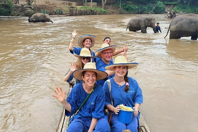 Private 3 Day Chiang Mai and Chiang Rai Tour - Day 1 in Chiang Mai: sticky waterfall, Mae Tang elephants, and the cave climb