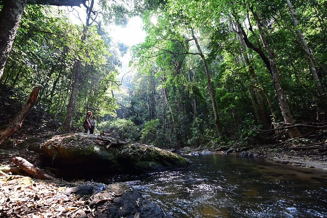 Private All-Inclusive Doi Inthanon & Pha Dok Siew Waterfall Tour - Wachirathan Waterfall: 80 metres of layered cascades