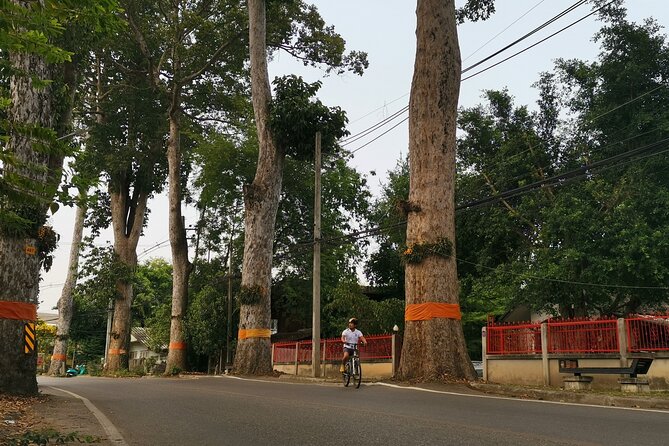 Private Chiang Mai Half-Day Bike Tour - Starting at Wat Chai Mongkhon: a royal-monastery mood setter