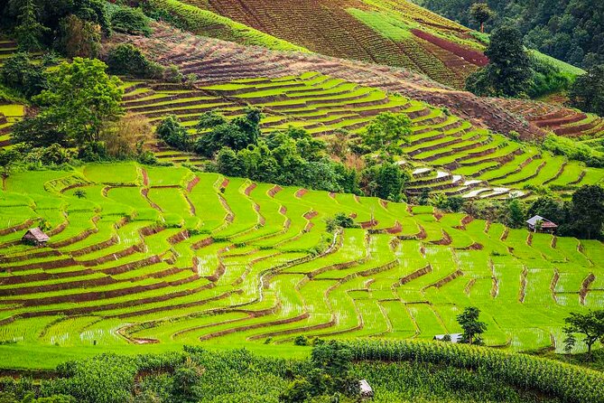 Private Program Discovery Chiang Mai - Half/Full day / Night tour - Wat Chedi Luang Varavihara: where the skyline story starts