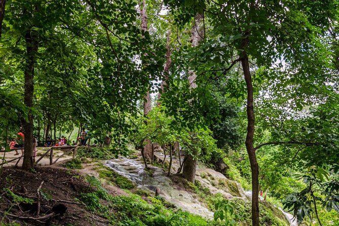 Private Tour: Bua Thong Sticky Waterfalls Tour - Bua Thong Sticky Waterfalls: what makes it different at Nam Phu Chet Si