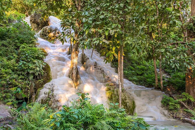 Private Tour: Bua Thong Sticky Waterfalls Tour - The half-day flow in 4 hours: how the timing usually feels