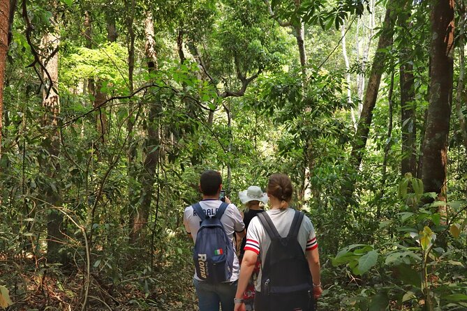 Private Tour Doi Inthanon And Trekking Nature Trail, Chiang Mai - Ban Mae Klang Luang: rice terraces and a White Karen coffee moment