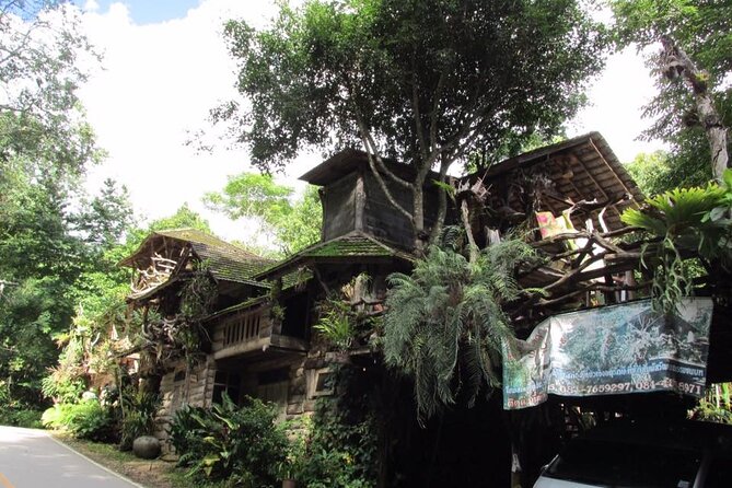 Private Tour in Chiang Mai Village Experience Nature - Mae Kampong Waterfall: 7 tiers, coffee fields, and a year-round stream