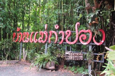 Private Tour in Chiang Mai Village Experience Nature - Harvesting tea and coffee: why it’s more than scenery