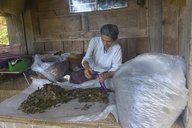 Private Tour in Chiang Mai Village Experience Nature - What I’d pack for a village-and-waterfall day in Chiang Mai