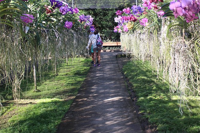 Private tour] Perfect day! Sticky waterfall + ChiangDao Cave + Wat BandenTemple - Nam Phu Chet Si (Sticky Waterfall): The Main Event, With One Big Tip