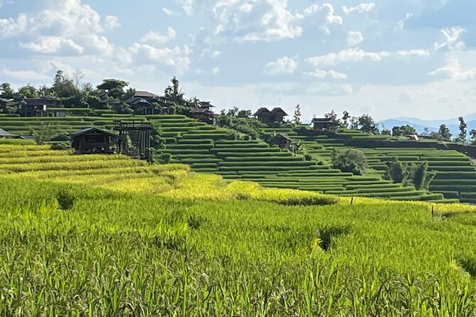Private Tour to Chiang Mai Rice Terraces and National Park - Key highlights at a glance