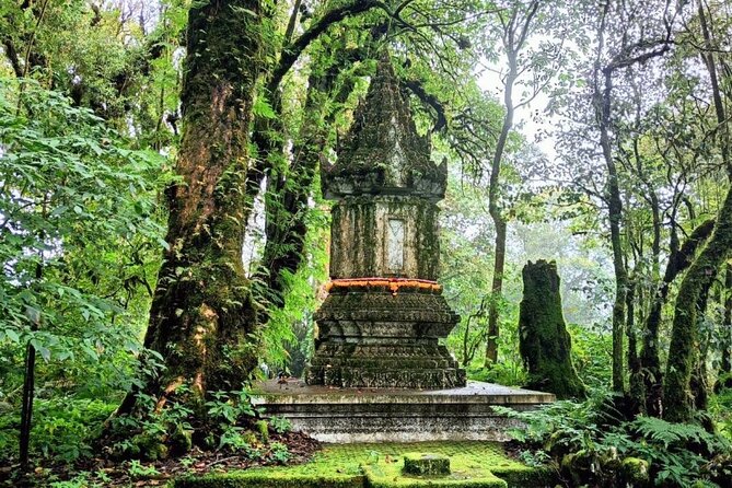 Private Tour to Chiang Mai Rice Terraces and National Park - Twin Royal Stupas: gardens, pagodas, and wide-open views