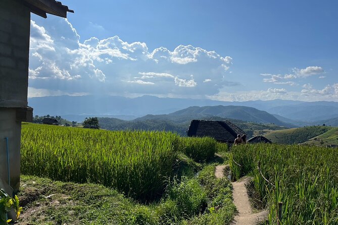 Private Tour to Chiang Mai Rice Terraces and National Park - Ban Pa Pong Piang rice terraces: why this stop hits hard