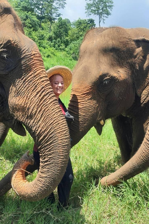 Rantong elephant sanctuary Chiangmai - Key things that make Rantong Elephant Sanctuary worth your time