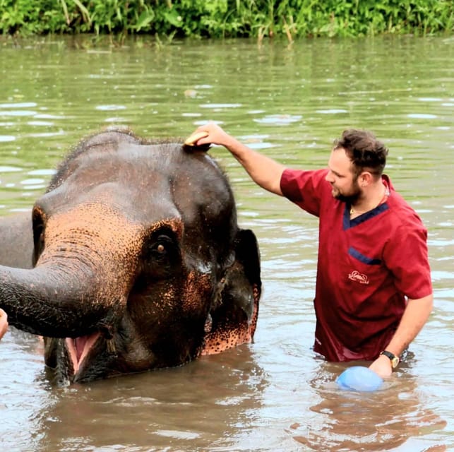 Rantong elephant sanctuary Chiangmai - Rantong Elephant Sanctuary: what this 4-hour trip is really about