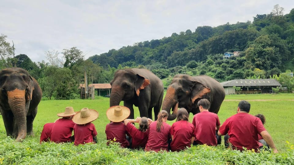 Rantong elephant sanctuary Chiangmai - Value for money: what $57 gets you in real terms