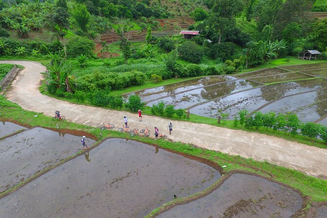 Rural Explorer Mountain Biking Tour Chiang Mai - Value for Money: Why $81.44 Can Make Sense Here