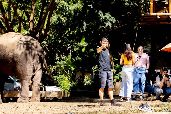 Scooter Adventure with elephants, views and FUN drive yourself - Why a drive-yourself scooter day makes Chiang Mai feel fast