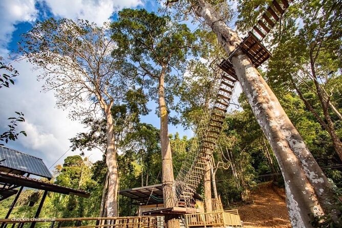 Sky Hawk Zipline Experience in Chiang Mai - Who Should Book Sky Hawk Zipline in Chiang Mai (and Who Should Skip It)