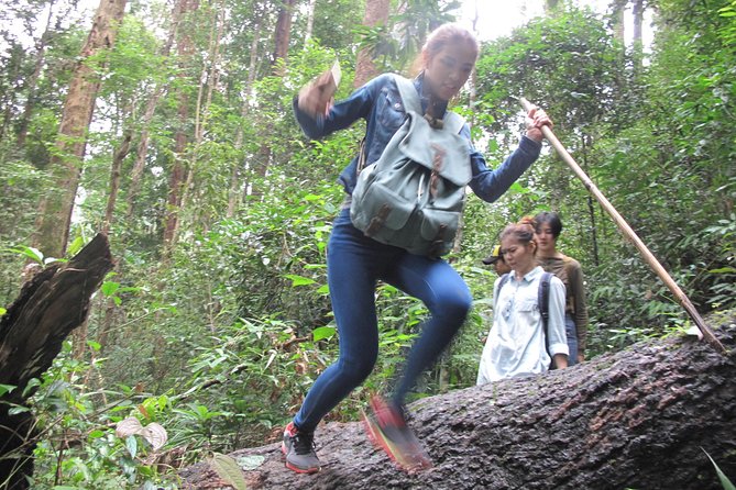 Small Group : Trekking Trip in Chiang Mai (Doi Suthep Area) with Market Tour - Morning Fresh Market and Doi Suthep Temple: a smart way to start