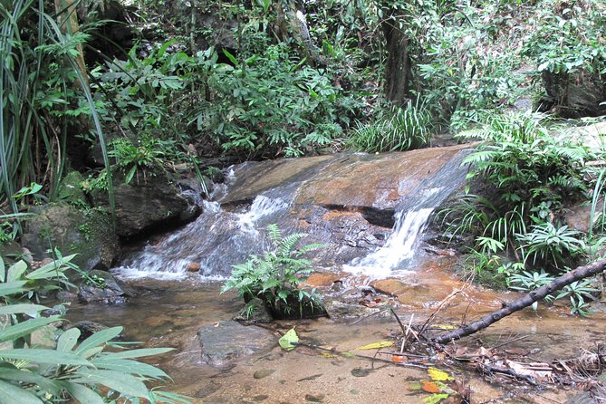 Small Group : Trekking Trip in Chiang Mai (Doi Suthep Area) with Market Tour - The downhill trek in Doi Suthep–Pui National Park