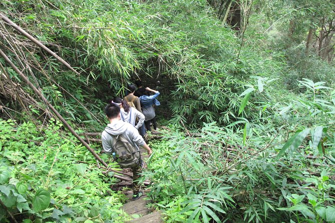 Small Group : Trekking Trip in Chiang Mai (Doi Suthep Area) with Market Tour - Price and value: what you’re paying for (and what you’re not)