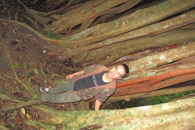 Small Group : Trekking Trip in Chiang Mai (Doi Suthep Area) with Market Tour - Small group flow, A/C comfort, and guide attention