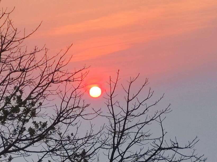 Spiritual Sunrise Wat Doi Suthep, Pha Lat, Alms & Meditation - Chanting and Basic Meditation: What You Actually Do