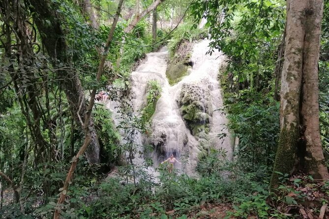 The Best Full Day Tour: Doi Suthep, Wat Phalat, Sticky Waterfall - Who should book this tour, and who should skip it