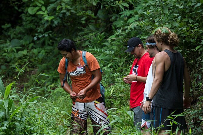 Trek to a Jungle Waterfall - The Jungle Trek: 1.6 km of Flora, Shade, and Footing
