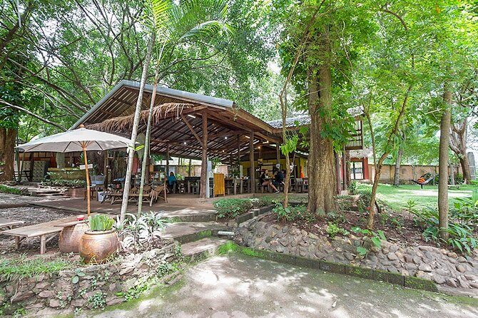 Trek to a Jungle Waterfall - Who This Tour Suits Best (and Who Might Want to Reconsider)
