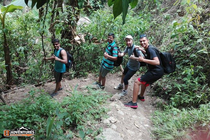 Trek to a Jungle Waterfall - Should You Book the Trek to a Jungle Waterfall in Chiang Mai?