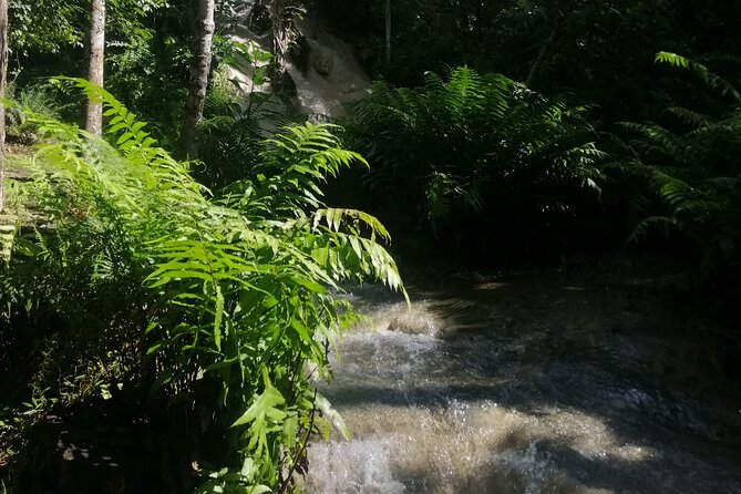 Visit Dantewada(Angel Land), Blue Temple, and Sticky Waterfall - Wat Ban Den Blue Temple: the cultural reset (and what to wear)