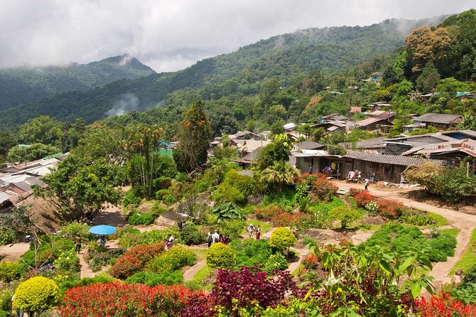 Wat Phra That Doi Suthep & Hmong Village Half Day Tour From Chiang Mai - Small-group value with Oh-Hoo: price and what you’re paying for