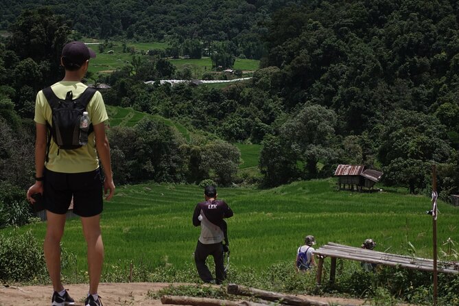 Waterfall Wanderer Doi Inthanon Hiking Tour - Natural pools, wildlife chances, and photo-friendly timing